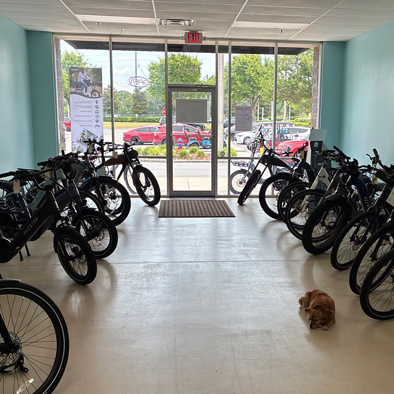 A row of electric bikes lines both sides of a light blue showroom with large windows. Outside, cars are parked. A small brown and white dog lies on the floor near the entrance.